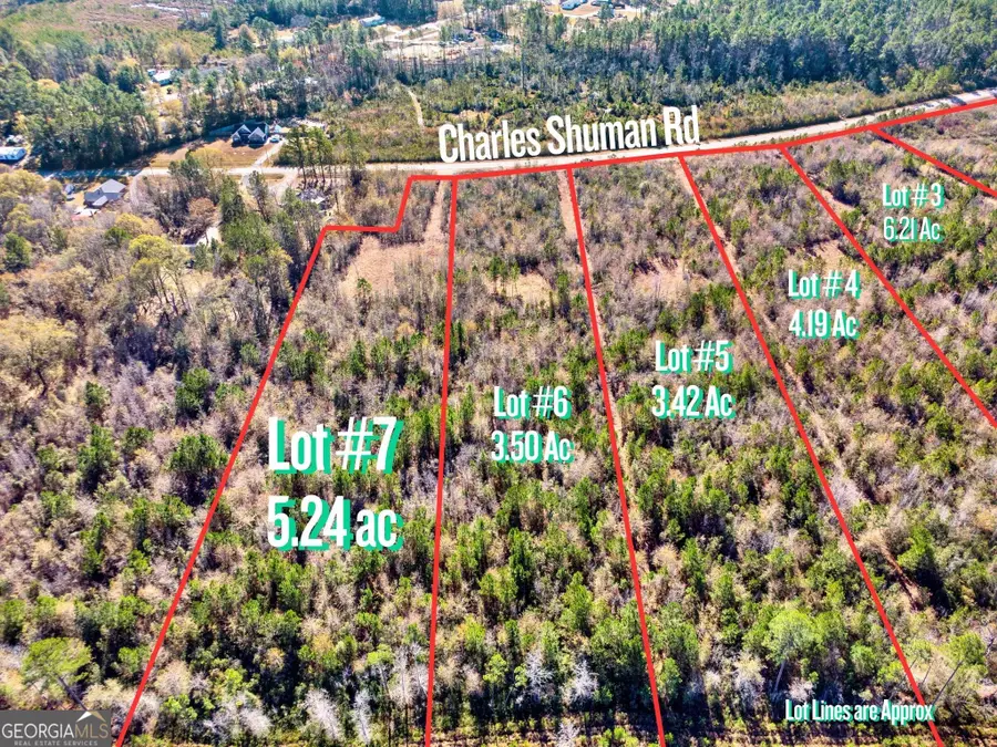 LOT 7 Charles Shuman Road, Pembroke, GA 31321 - Image #3