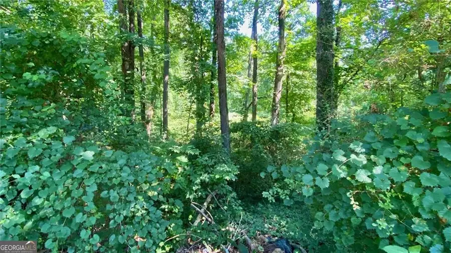 5964 Giles Road, Lithonia, GA 30058 - Image #3