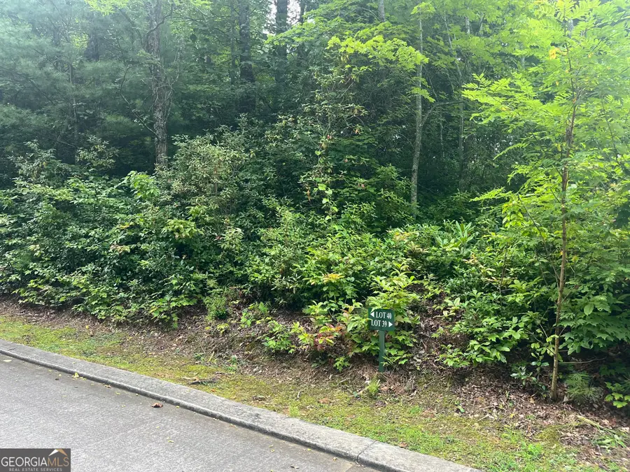 LOT 40 Anderson Drive, Clayton, GA 30525 - Image #3