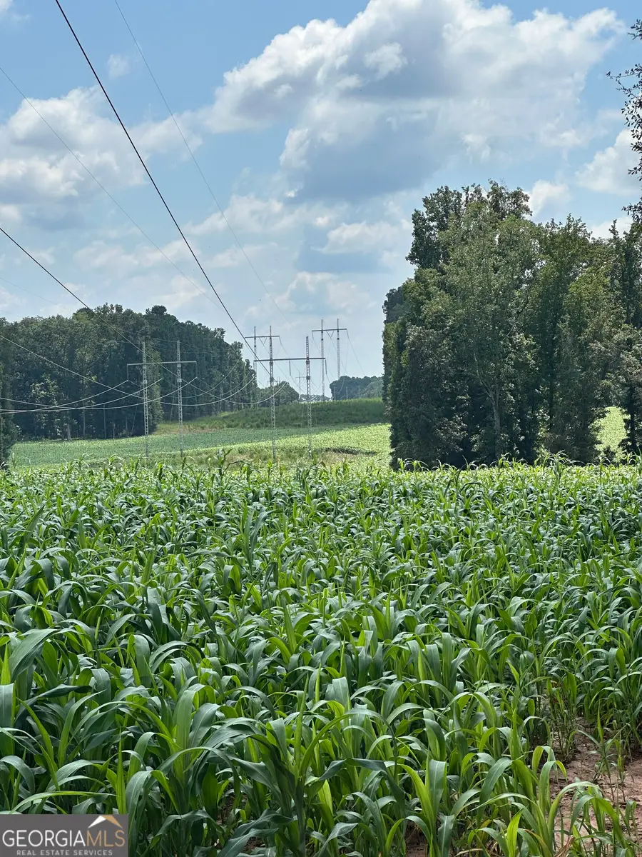 1981 A Broughton Road, Newborn, GA 30056 - Image #3