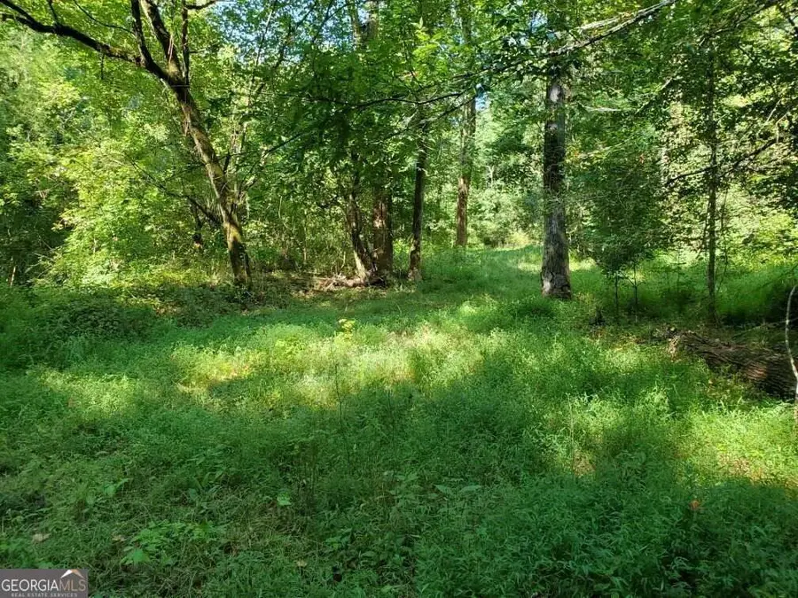 0 Goolsby Road, Monticello, GA 31064 - Image #2