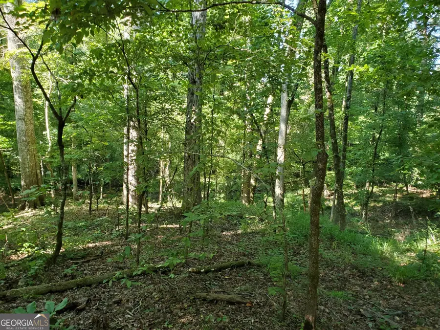 0 Goolsby Road, Monticello, GA 31064 - Image #3