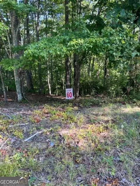 LT 60 Honeysuckle Way, Ellijay, GA 30540 - #1