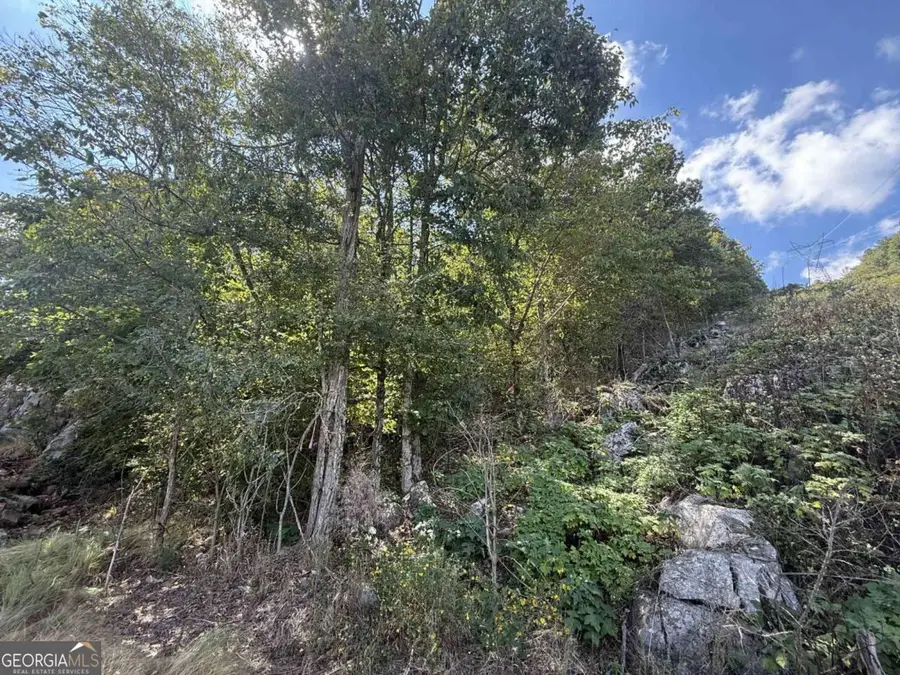 0 W Highway 136 Highway, Rising Fawn, GA 30738 - Image #2