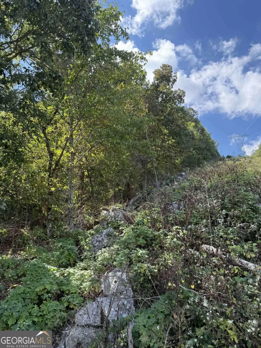 0 W Highway 136 Highway, Rising Fawn, GA 30738 - Image #3