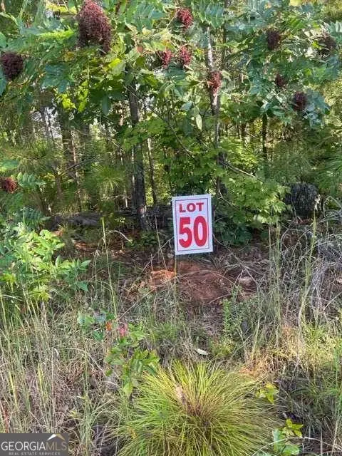 LT 50 White Pine Ridge, Ellijay, GA 30540 - Image #2