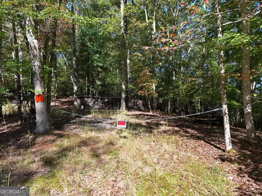 LT 27/28 Donna Lee Lane, Mineral Bluff, GA 30559 - Image #3
