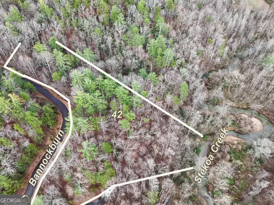 0 Bannockburn, Clayton, GA 30525 - #3