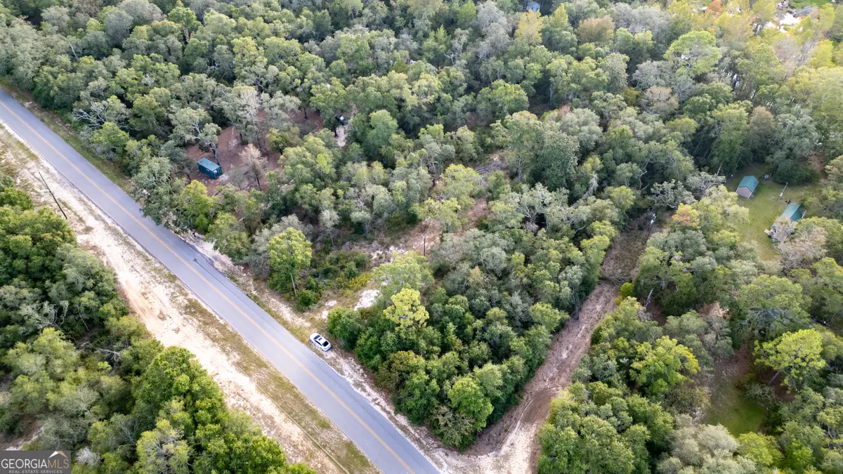 0 River Ridge Road, Reidsville, GA 30453 - Image #1