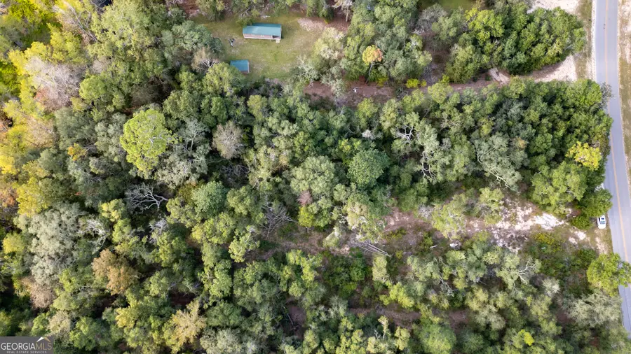 0 River Ridge Road, Reidsville, GA 30453 - Image #3