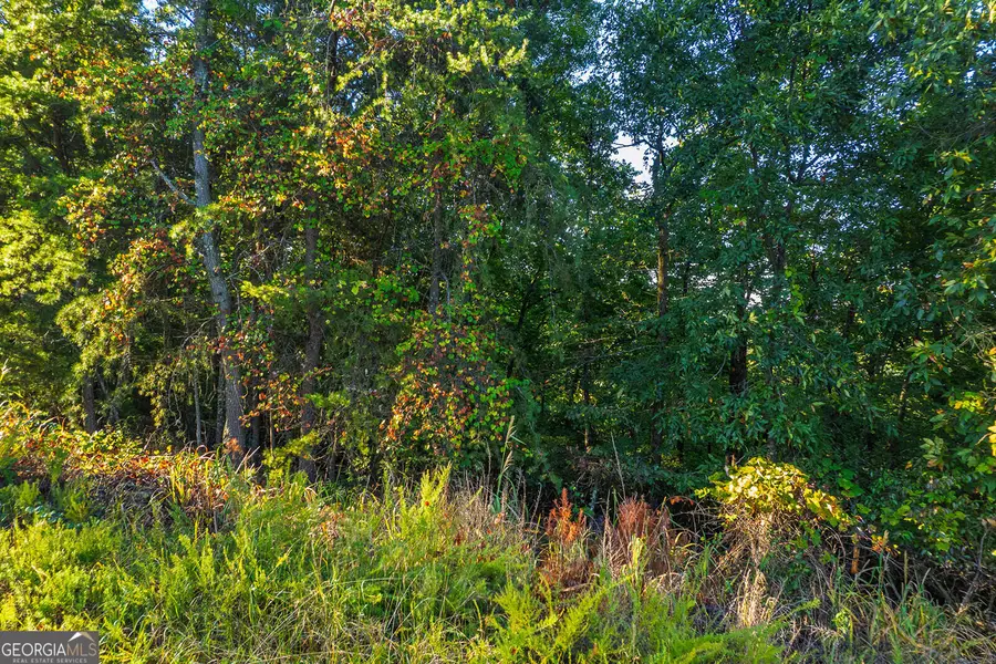 248 Stirratt Road, Ranger, GA 30734 - Image #2