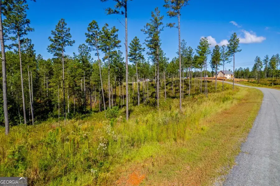 LOT 140 River Reach Lane, Talking Rock, GA 30175 - Image #3