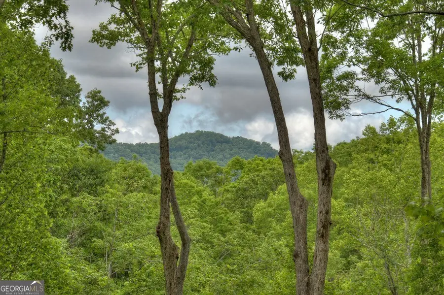 244 Wilderness Way, Ellijay, GA 30536 - Image #2