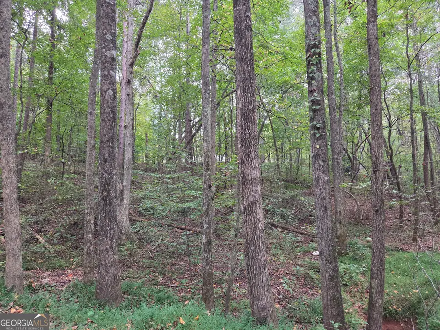 0 Barefoot Circle, Lula, GA 30554 - Image #3