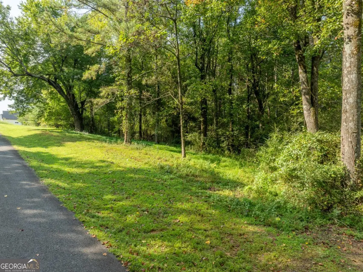 LOT 4 Highpoint Ridge Road, Ellijay, GA 30540 - Image #1