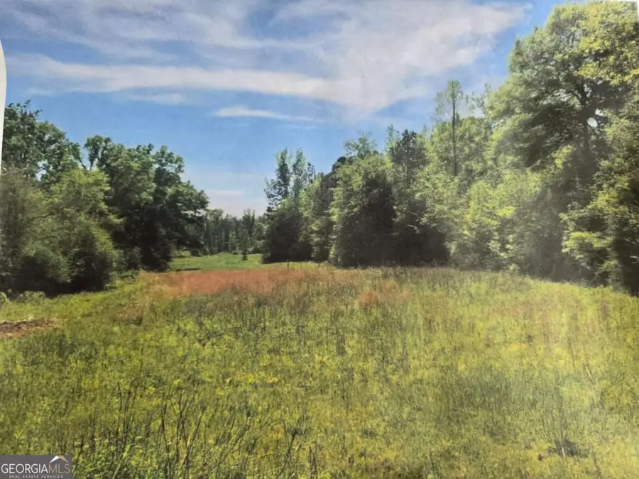 0 Apt-to-miss Road, Monticello, GA 31064 - Image #3