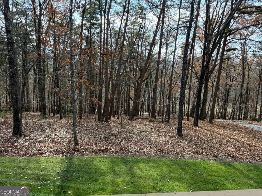 509 E Valley Road Ne, Rydal, GA 30171 - Image #3