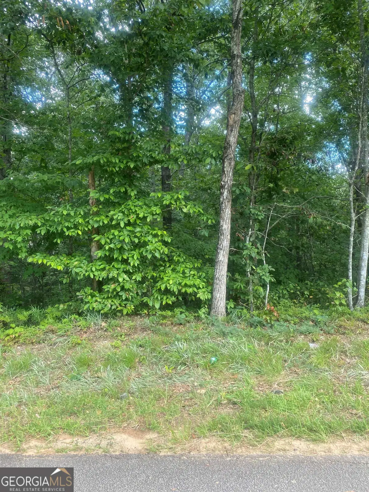 4939 Old Orr Road #LOT 1, Flowery Branch, GA 30542 - Image #1