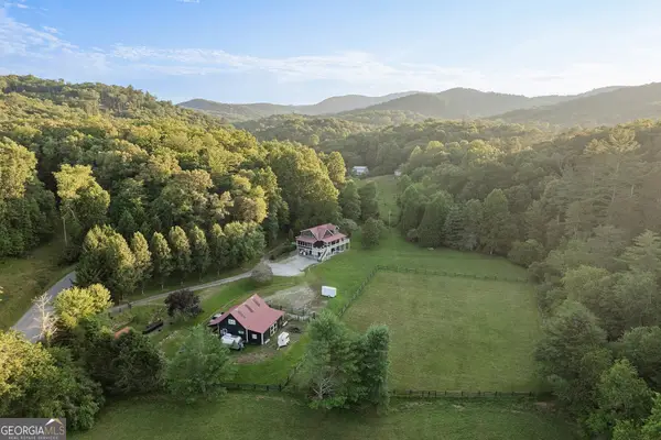 328 Black Ankle Creek Road, Cherry Log, GA 30522