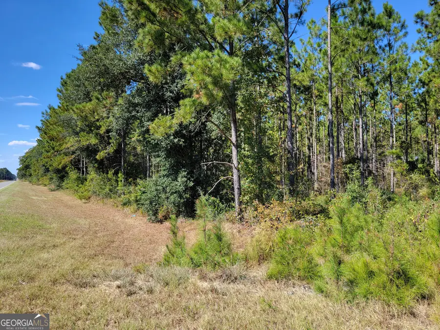 0 Tuton Road, Baconton, GA 31716 - Image #2
