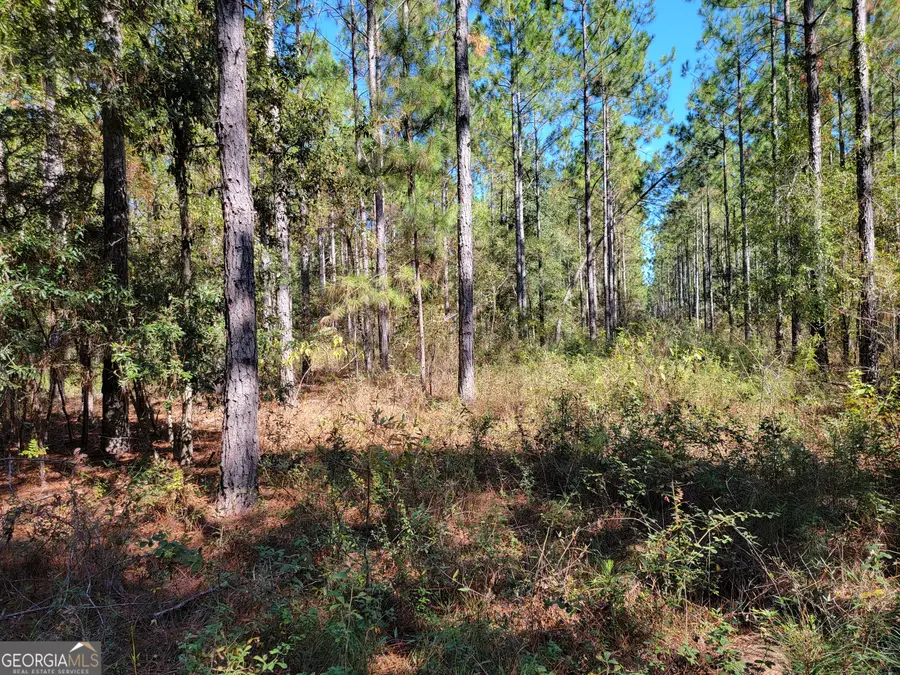 0 Tuton Road, Baconton, GA 31716 - Image #3