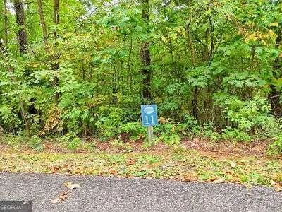 LOT 11 Skyview Drive, Hayesville, NC 28904 - Image #1