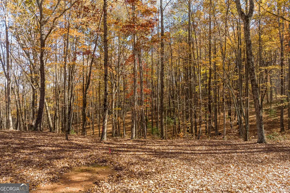 LT 17R Tanager Trail, Ellijay, GA 30536 - Image #1