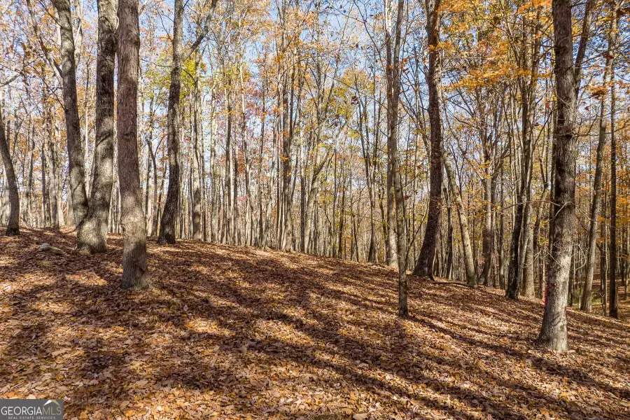 LT 17R Tanager Trail, Ellijay, GA 30536 - Image #2