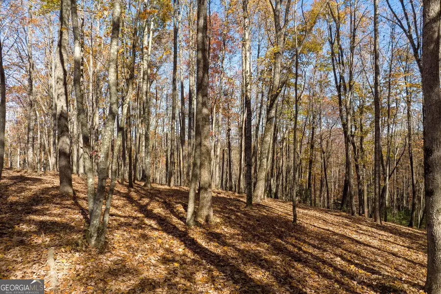 LT 17R Tanager Trail, Ellijay, GA 30536 - Image #3