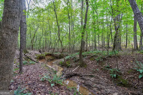 0 Lower Wirebridge Road, Stephens, GA 30667