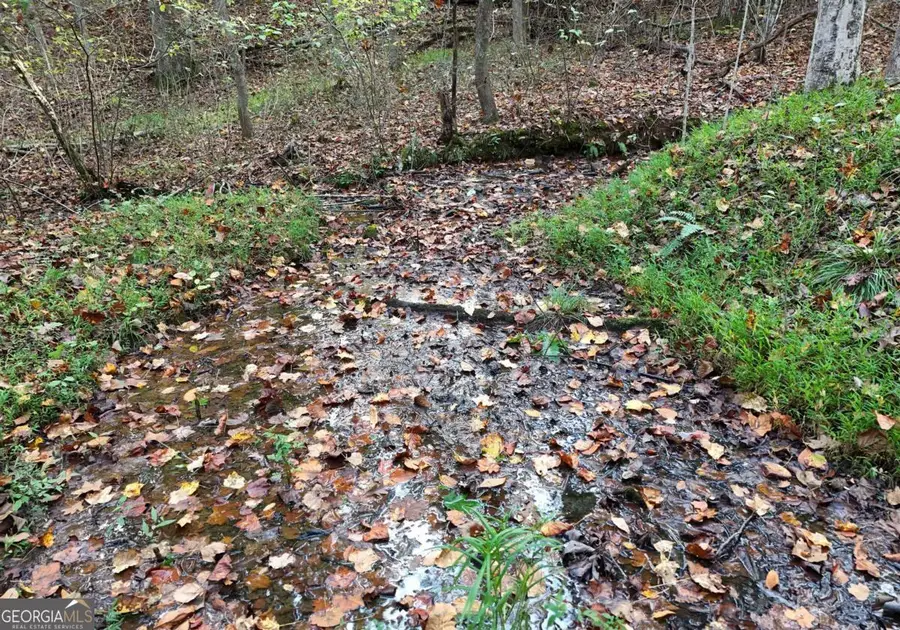 4742 Timberline Sunset Drive, Young Harris, GA 30582 - Image #2