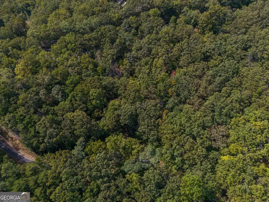 0 Little Hendricks Mountain Road, Jasper, GA 30143 - Image #3