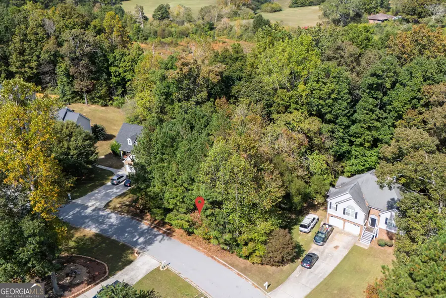 46 Legend Creek Hollow, Douglasville, GA 30134 - Image #2