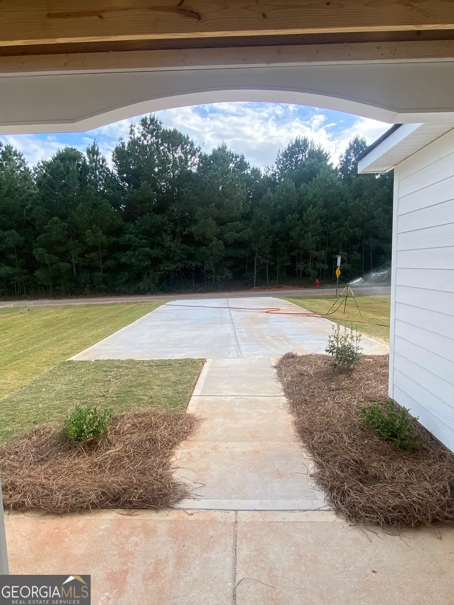 162 Mathews Road, Milner, GA 30257 - Image #3