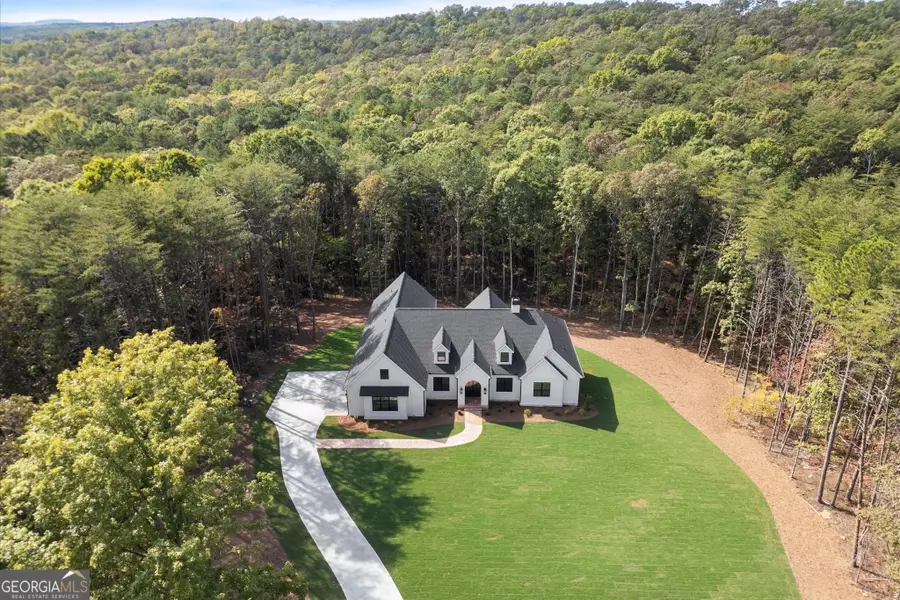 145 Highlands Chase, Ball Ground, GA 30107 - Image #2