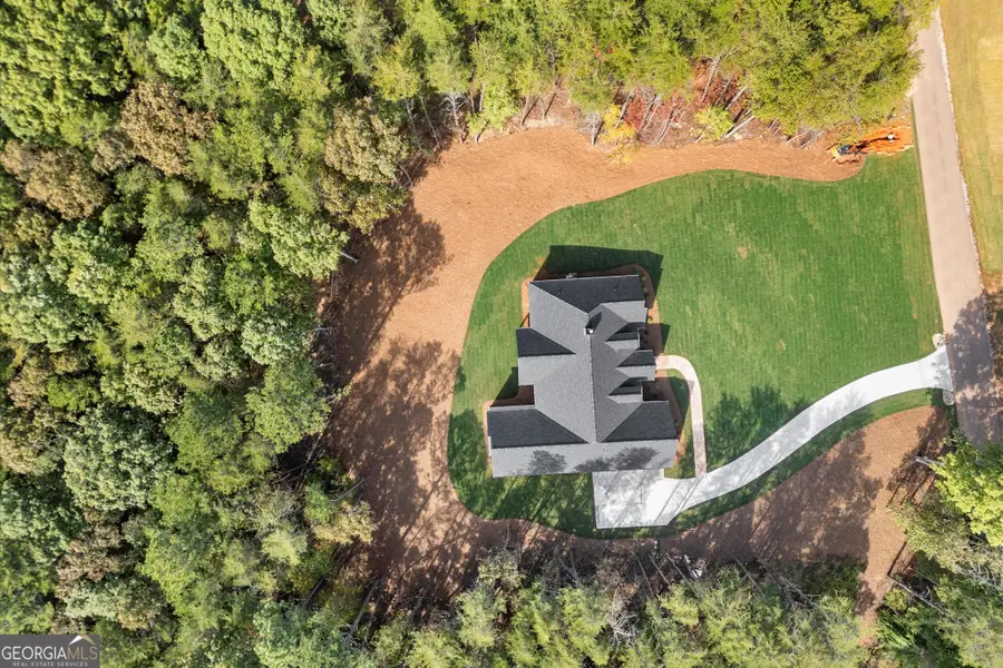 145 Highlands Chase, Ball Ground, GA 30107 - Image #3