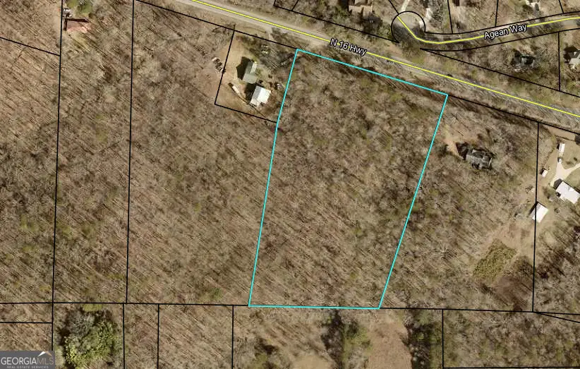 0 North 16 Highway, Whitesburg, GA 30185 - Image #2