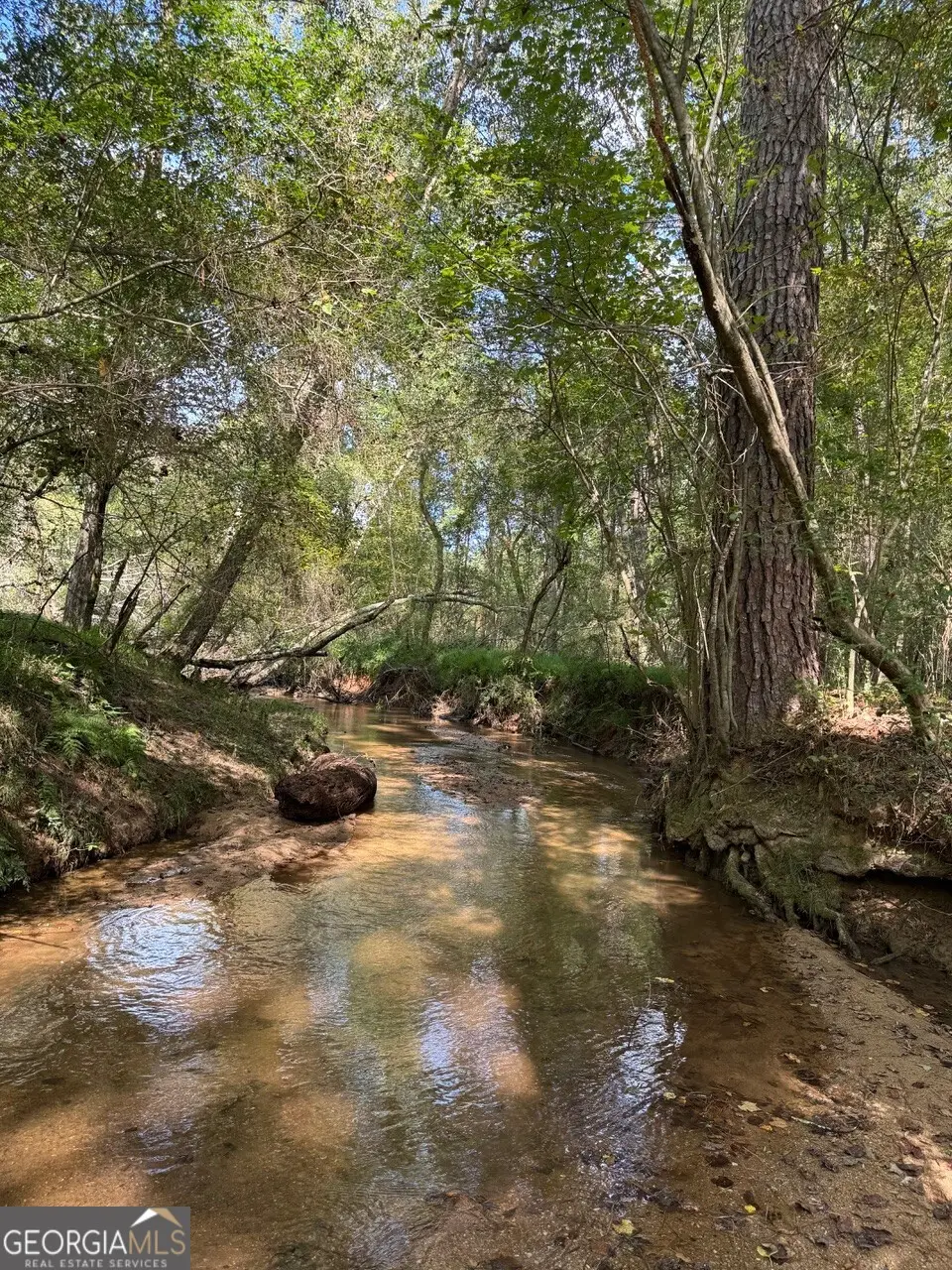 0 Hebron Church Road, Statham, GA 30666 - Image #1