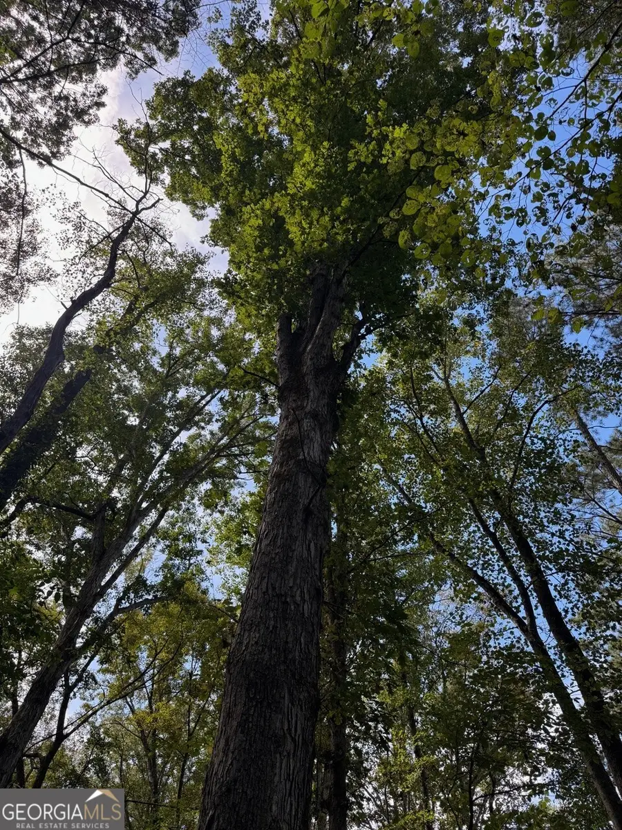 0 Hebron Church Road, Statham, GA 30666 - Image #2