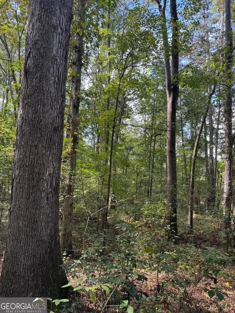 0 Hebron Church Road, Statham, GA 30666 - Image #3