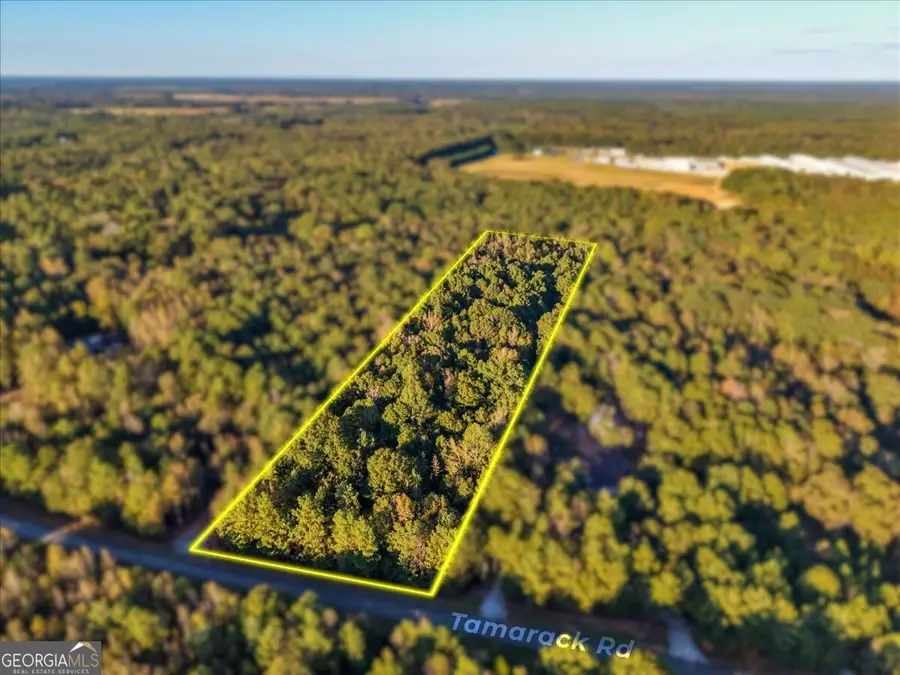 0 Tamarack Road #(LOT 107), Monticello, GA 31064 - Image #3