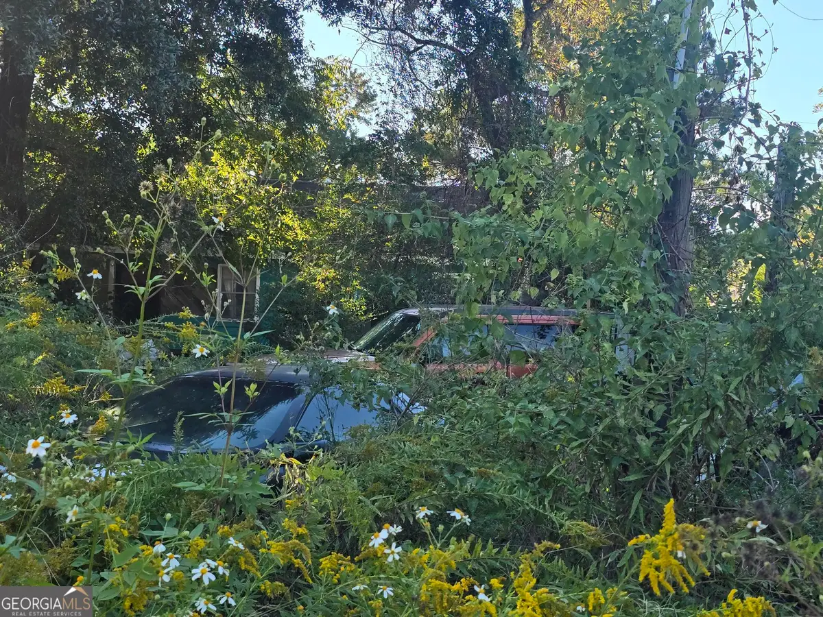 1525 New Castle Street, Savannah, GA 31415 - Image #1