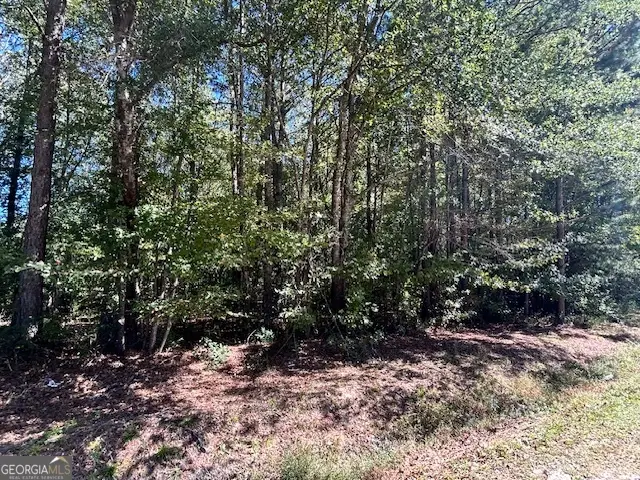 L-2 Smyrna Church Road, Molena, GA 30258 - Image #3