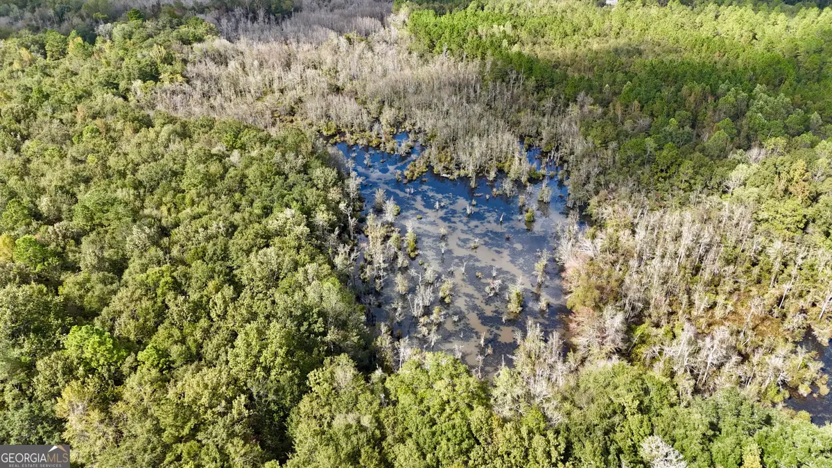 0 Rocky Springs Road, Eastman, GA 31023 - Image #1