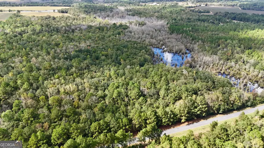 0 Rocky Springs Road, Eastman, GA 31023 - Image #3