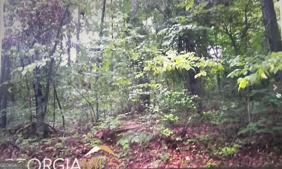 0 Turtle Cove Throughway, Monticello, GA 31064 - Image #2