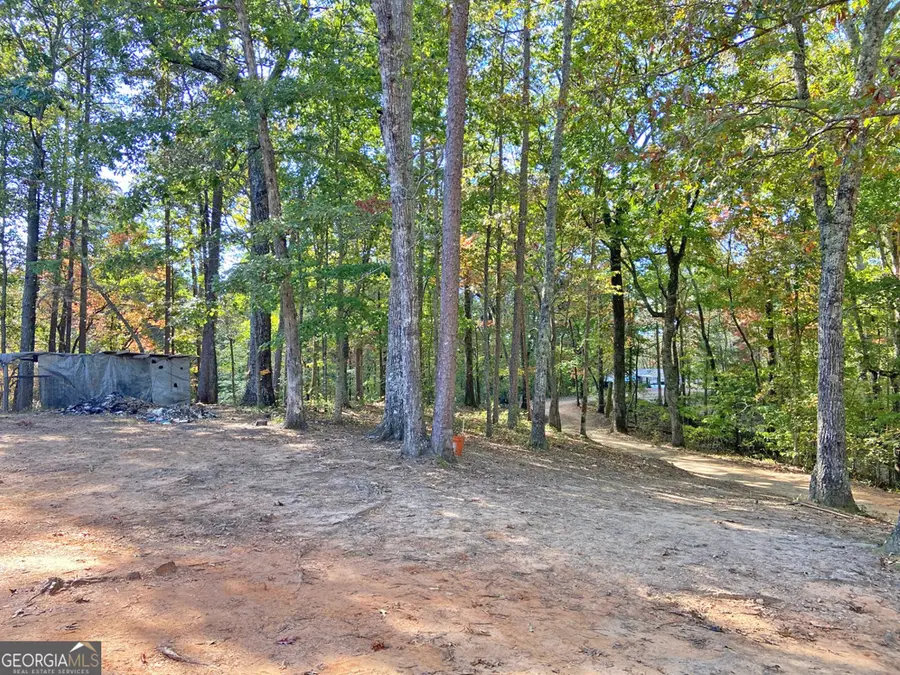 962 Winters Mountain Road, Dahlonega, GA 30533 - Image #3