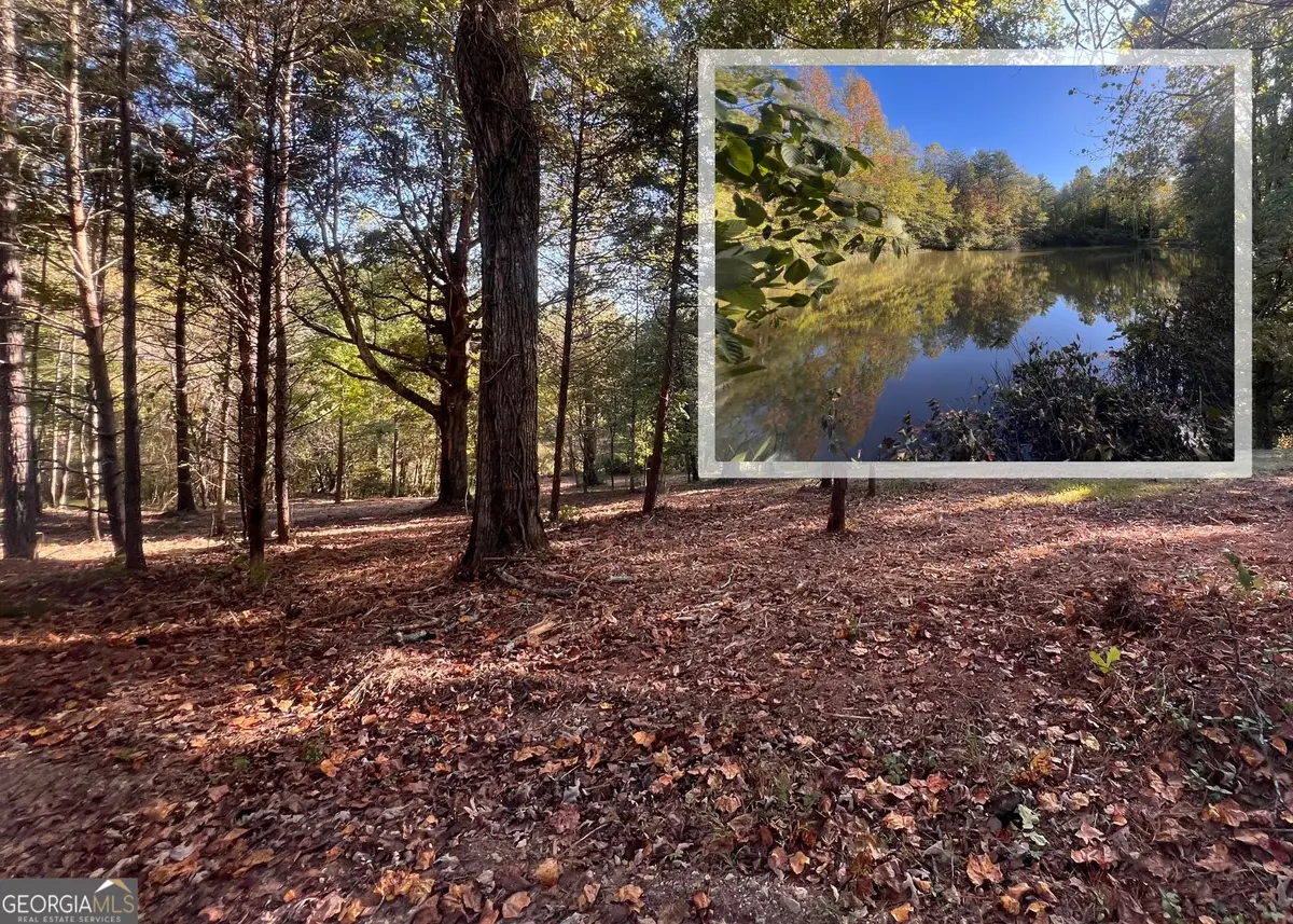 7 ACRES, Buckskin Trail, Clarkesville, GA 30523 - Image #1