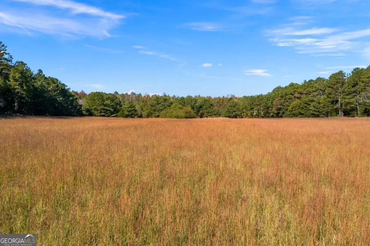 0 Satcher Road, Taylorsville, GA 30178 - Image #1