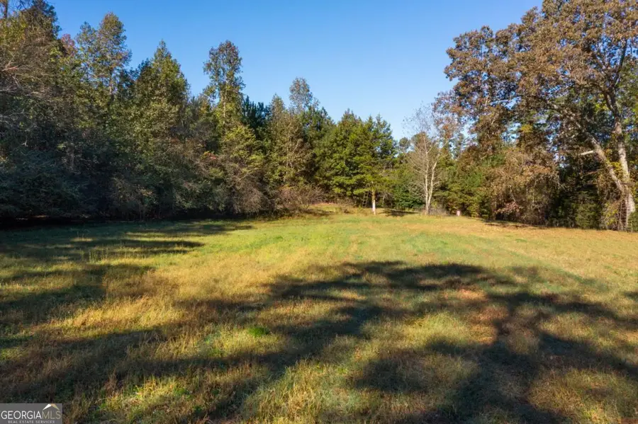 0 Satcher Road, Taylorsville, GA 30178 - Image #2